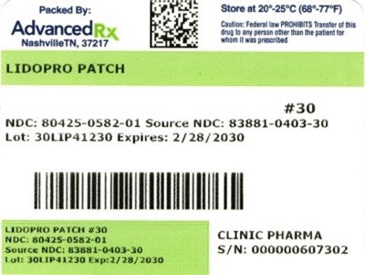 Lidopro Patch #30 (Lidopro Patch 30 80425 0582 01)